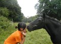 Ponyhof Liebe I
