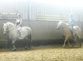 Maja's erste Reitstunde