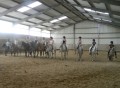 Quadrille üben
