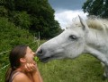 Ponyhof Liebe II