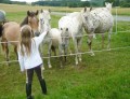 Bei den Ponyfohlen