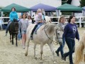 und nochmal Ponyreiten