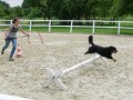 Charly ist wohl schneller als Lea :)