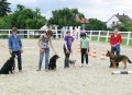 Glückwunsch an alle