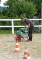 Fahren war schwerer als gedacht...